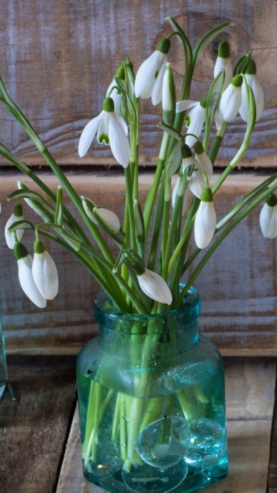 Photography Candle, Still Life, 720x1280