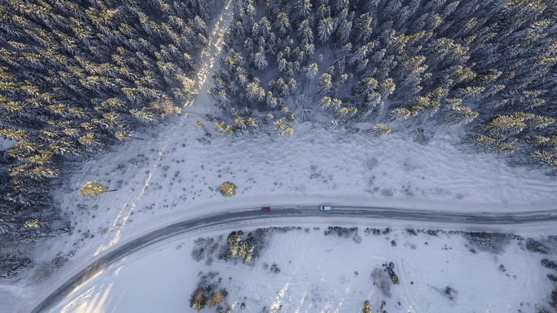 road, trees, winter, nature, hd, 4k
