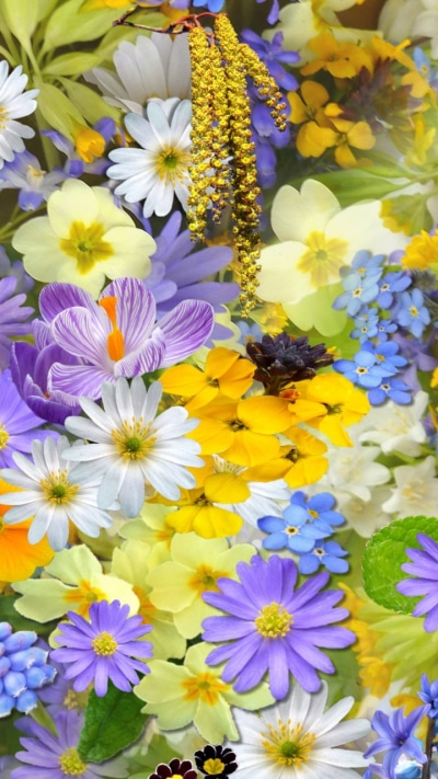 Earth Flower, Earth, White Flower, Spring, Yellow Flower, Purple Flower, 720x1280