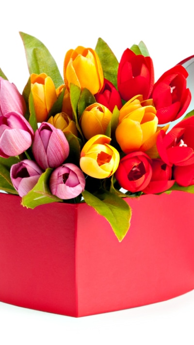 Man Made Flower, Box, Pink Flower, Colorful, Colors, Red Flower, 720x1280
