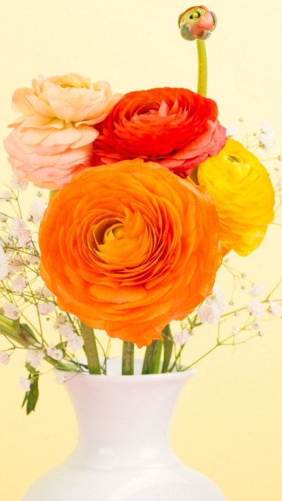 Man Made Flower, Orange Flower, Vase, Colorful, Buttercup, 720x1280