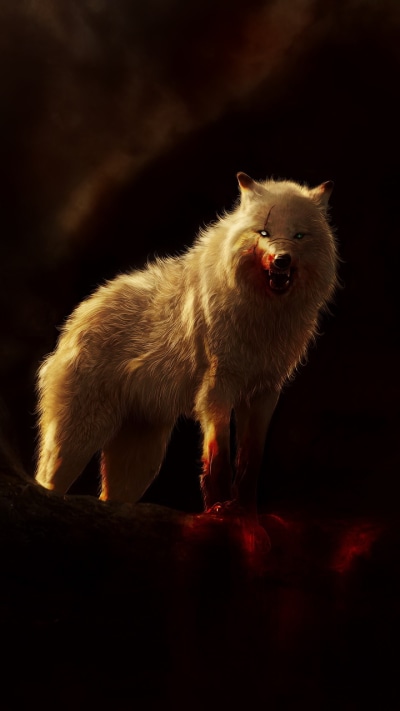 Fantasy Wolf, Dark, Blood, 720x1280