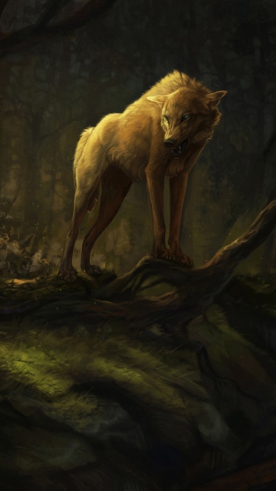 Fantasy Wolf, Forest, 720x1280