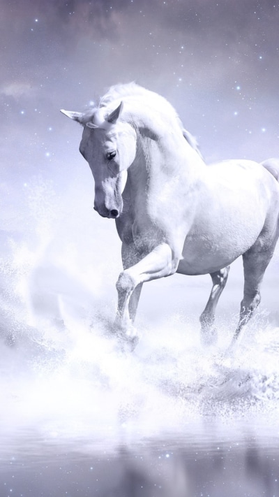 Animal Horse, 720x1280