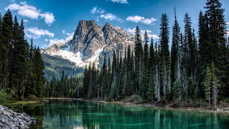 mountain, river, trees, shore, nature, 4k