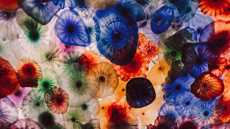 jellyfish, colorful, creatures, 4k