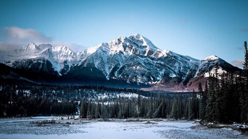 mountains, peaks, snow, snowy, forest, 4k