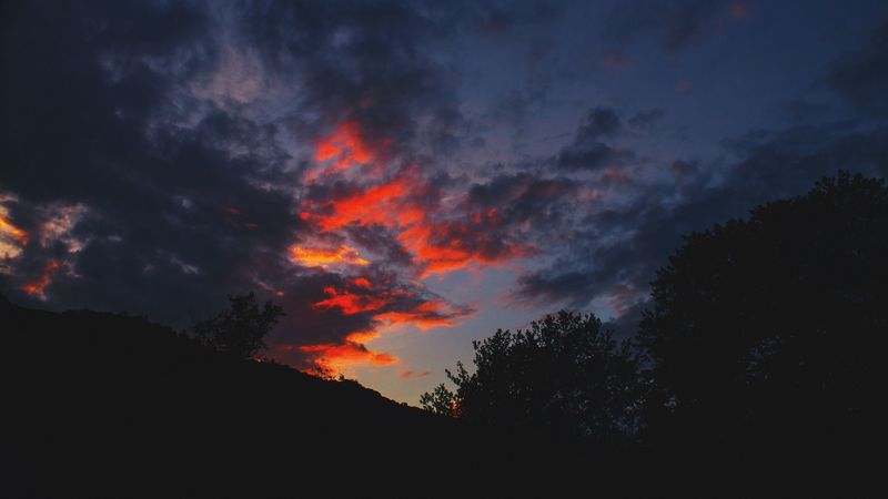 hill, bushes, dark, silhouettes, dusk, 4k