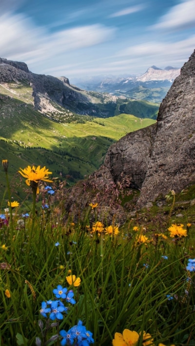 Earth Flower, Mountain, Landscape, Earth, 720x1280