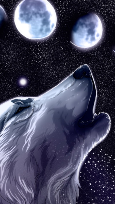 Animal Wolf, 720x1280