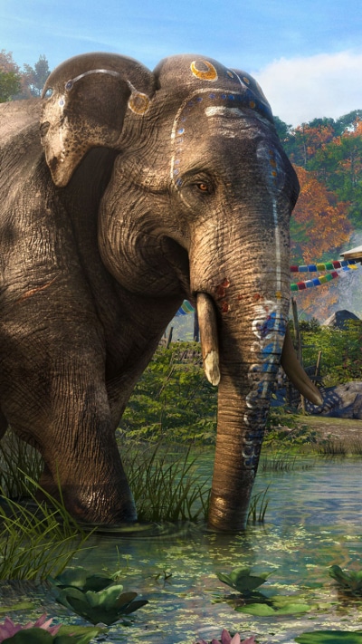 Video Game Far Cry 4, 720x1280