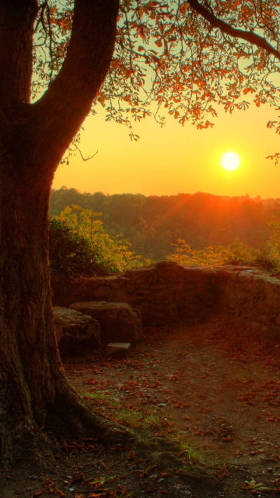 Earth Sunset, 720x1280