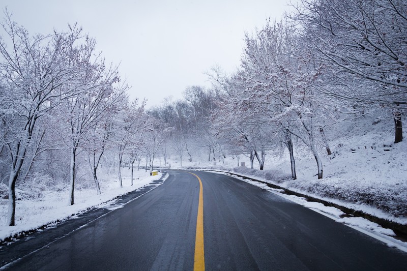 snow, winter, ice, scenery, hd, 4k, 5k, trees, road