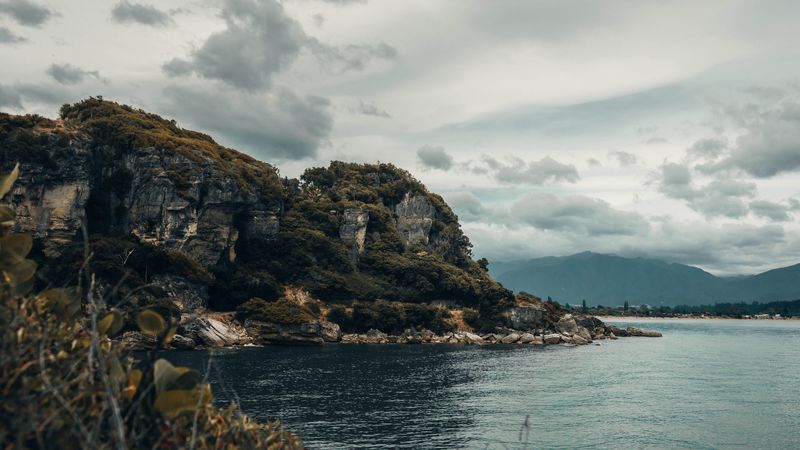 top, lake, sea, trees, 4k