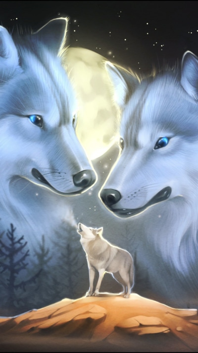 Animal Wolf, 720x1280