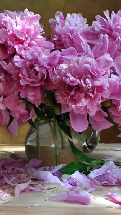 Man Made Flower, Earth, Vase, Peony, Pink Flower, 720x1280
