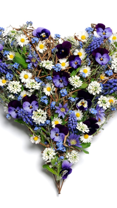 Man Made Flower, Chamomile, Purple Flower, White Flower, Pansy, Heart-shaped, 720x1280