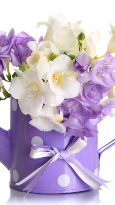 Man Made Flower, Purple Flower, White Flower, Violet, 720x1280
