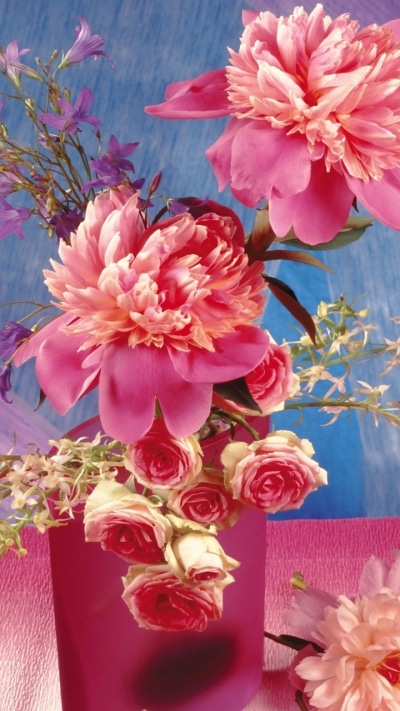Man Made Flower, Pink Flower, Vase, Peony, 720x1280