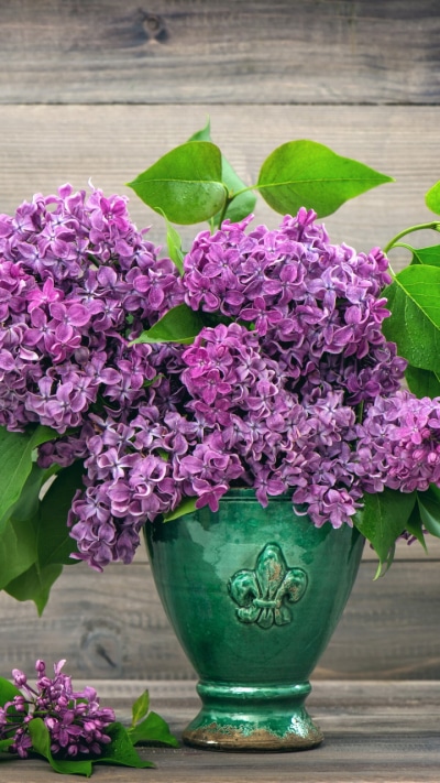 Man Made Flower, Purple Flower, Vase, Lilac, Still Life, 720x1280