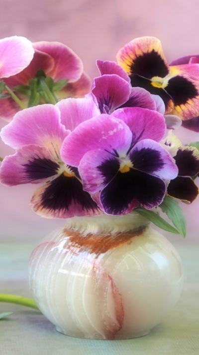 Man Made Flower, Pansy, Vase, Purple Flower, 720x1280