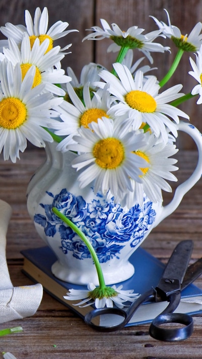 Man Made Flower, 720x1280
