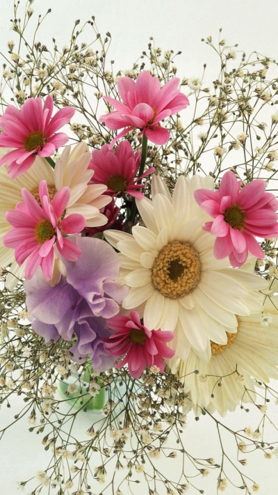 Earth Flower, Gerbera, Earth, Bouquet, Babys Breath, Daisy, 720x1280