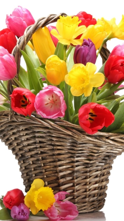 Man Made Flower, Colors, Pink Flower, Basket, Red Flower, Colorful, 720x1280