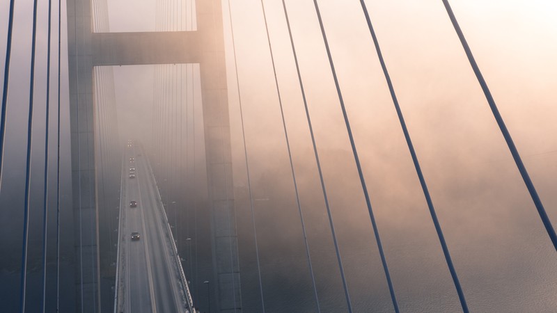 suspension bridge, bridge, nature, hd, evening, fog, 4k