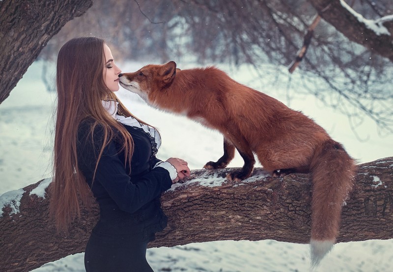 fox, girl, model, animals, hd, depth of field