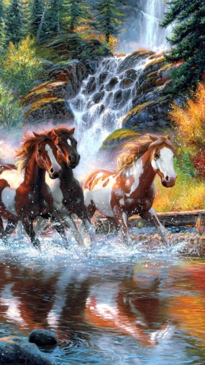 Animal Horse, Stream, 720x1280
