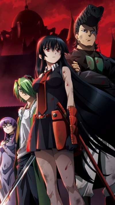 Anime Akame ga Kill!, Bulat (Akame Ga Kill!), Mine (Akame Ga Kill!), Akame (Akame Ga Kill!), Lubbock (Akame Ga Kill!), Leone (Akame Ga Kill!), 720x1280