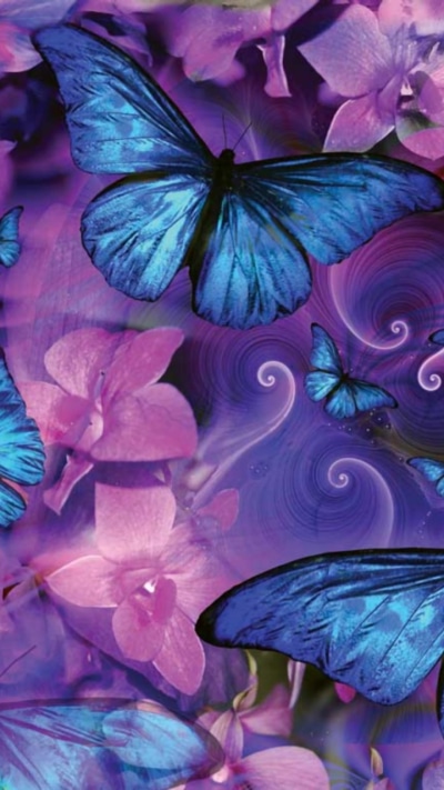 Artistic Butterfly, Blue, Flower, Pink, 720x1280
