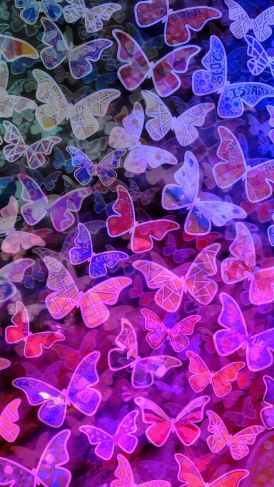 Animal Butterfly, Colors, 720x1280
