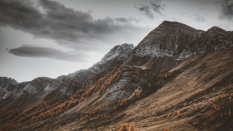 mountains, slopes, trees, peaks, nature, 4k