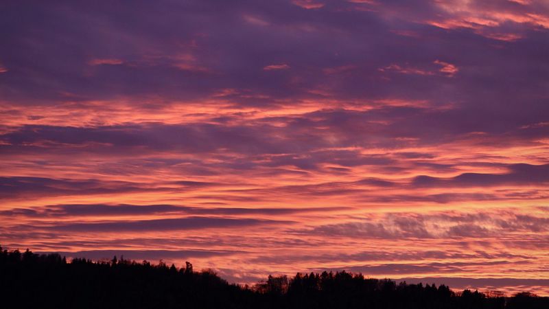 dusk, clouds, trees, dark, nature, 4k