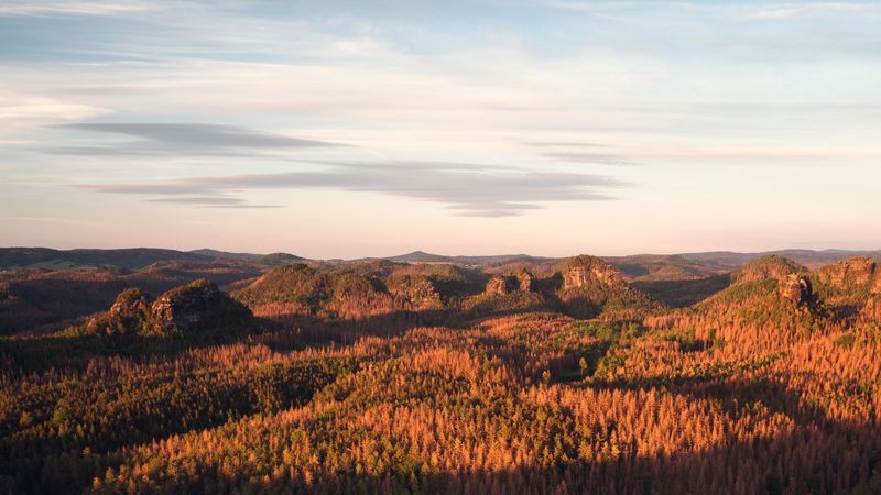 rock, stone, forest, relief, horizon, 4k