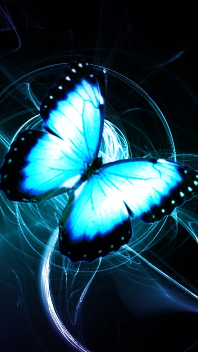 Animal Butterfly, 720x1280