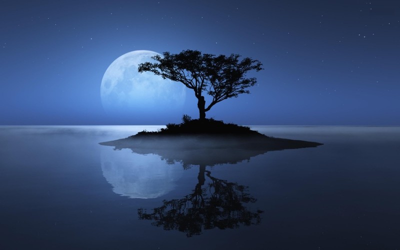 island, sky, moon, tree, landscape, artist, artwork, digital art, hd