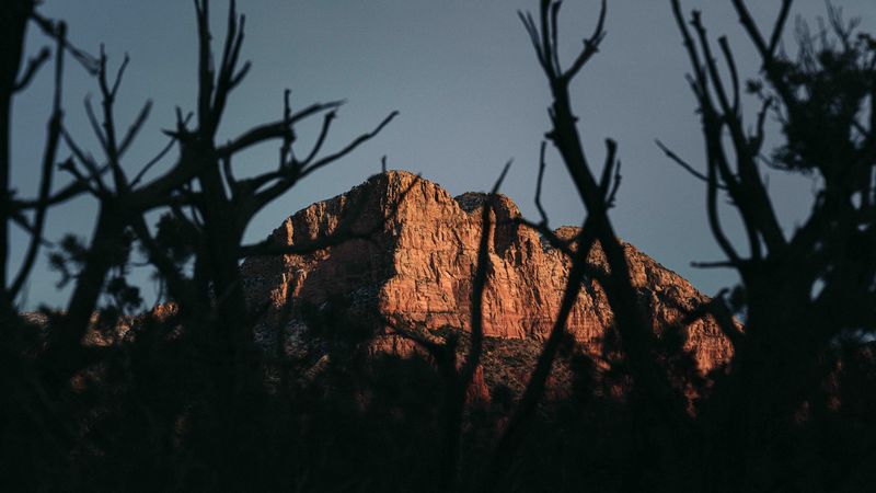mountains, branches, sky, landscape, 4k