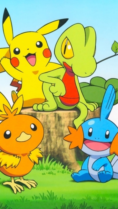 Video Game Pokémon, Pikachu, Treecko (Pokémon), Mudkip (Pokémon), Torchic (Pokemon), 720x1280