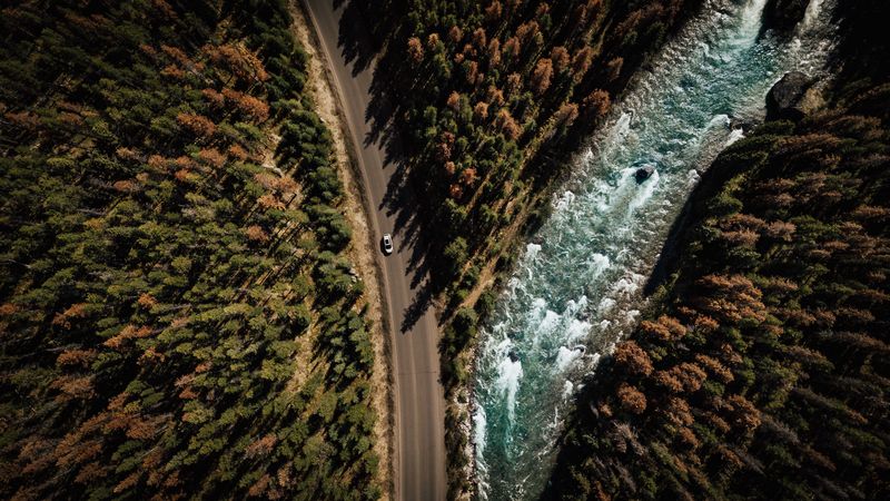 road, аerial view, distance, trees, forest, travel, 4k