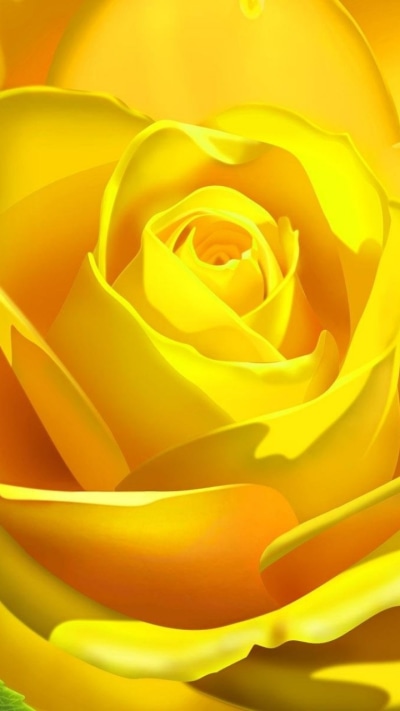 Artistic Flower, Nature, Rose, Yellow, 720x1280