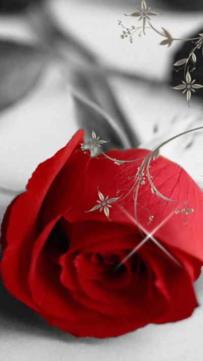 Artistic Flower, 720x1280