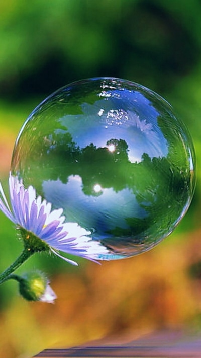 Earth Flower, 720x1280