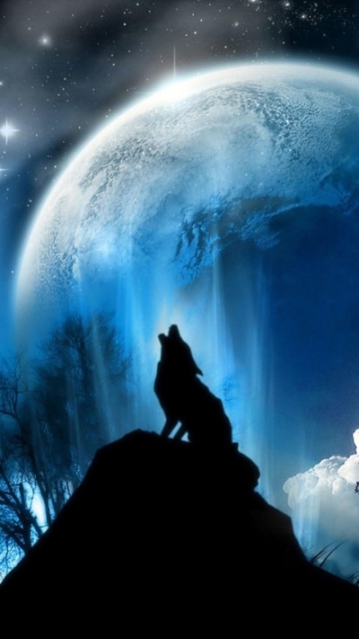 Animal Wolf, 720x1280