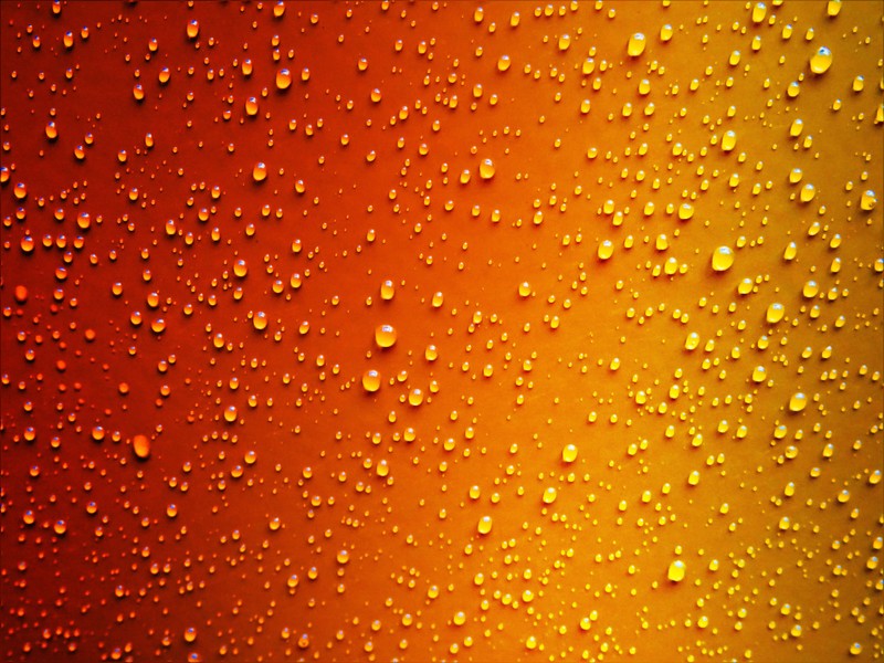 dew, drop, photography, hd, 4k, 5k, drops