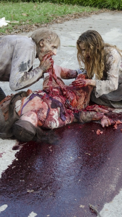 TV Show The Walking Dead, 720x1280