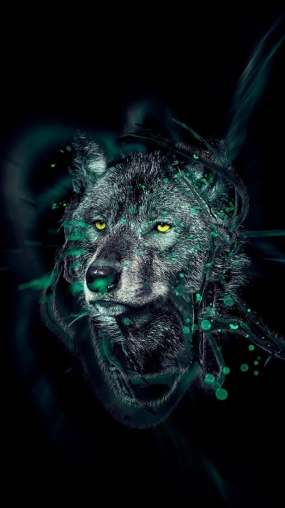 Animal Wolf, 720x1280