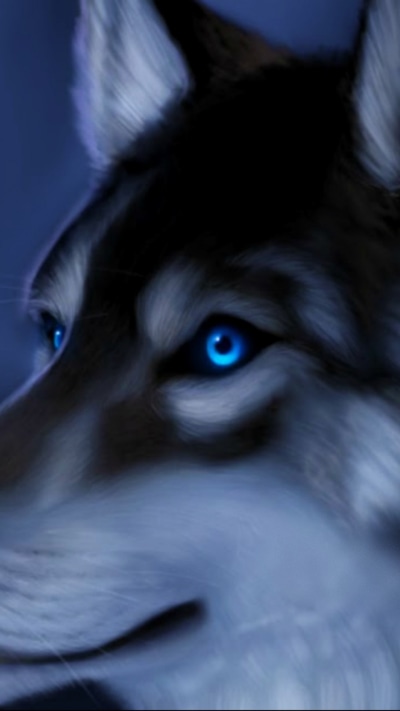 Animal Wolf, 720x1280